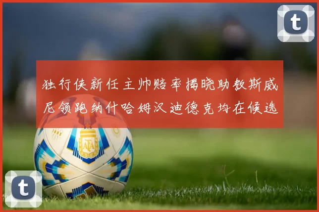 独行侠新任主帅赔率揭晓助教斯威尼领跑纳什哈姆汉迪德克均在候选之中